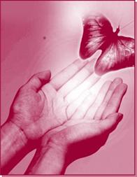 AHORA QUEDA MUY BONITO DECIR QUE INNOVAMOS...?